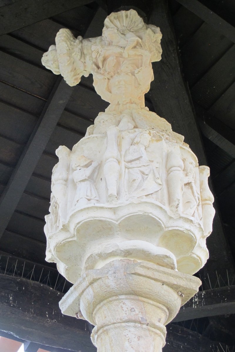 Kruzeroa, Narbaxa-Donemiliaga