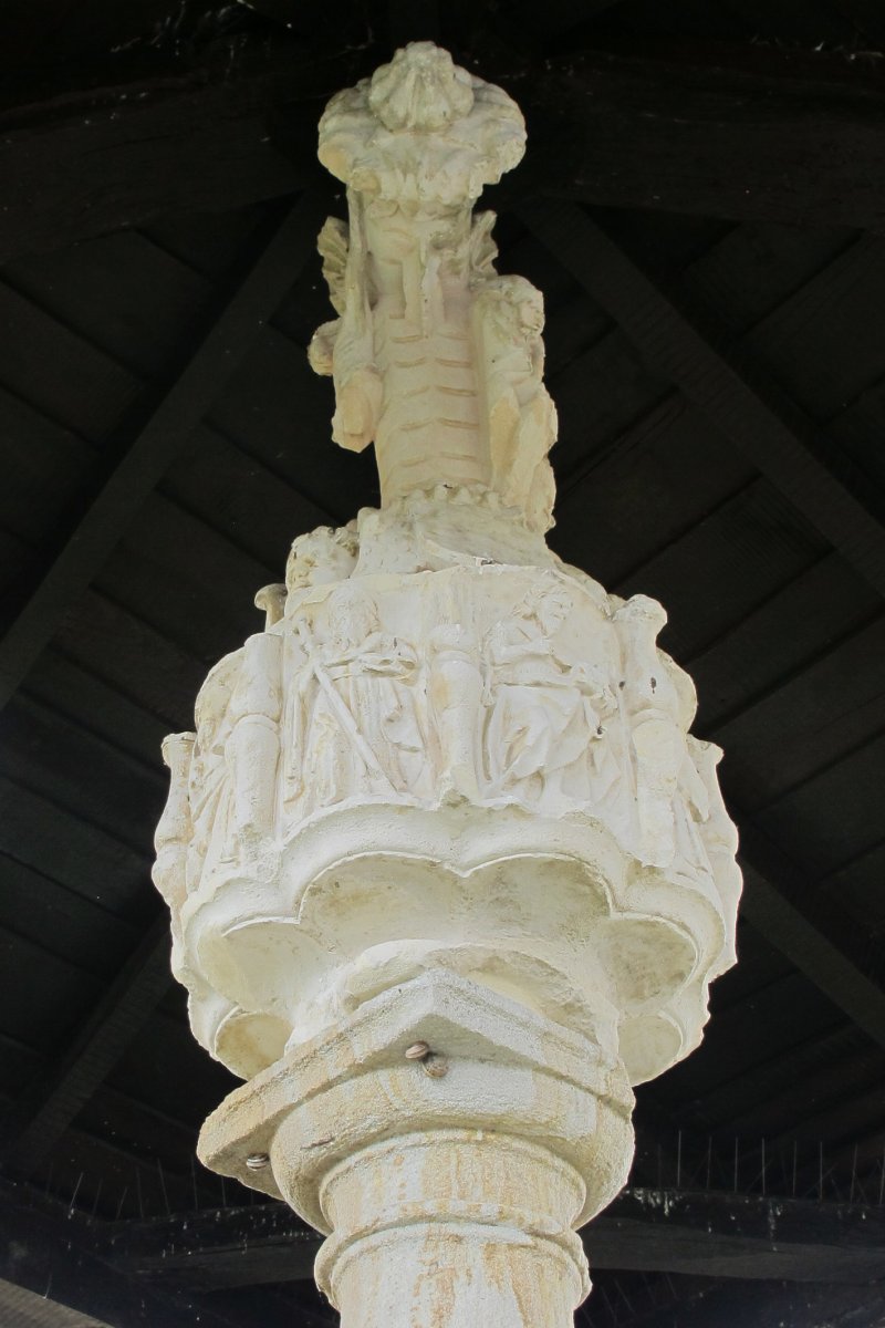 Kruzeroa, Narbaxa-Donemiliaga