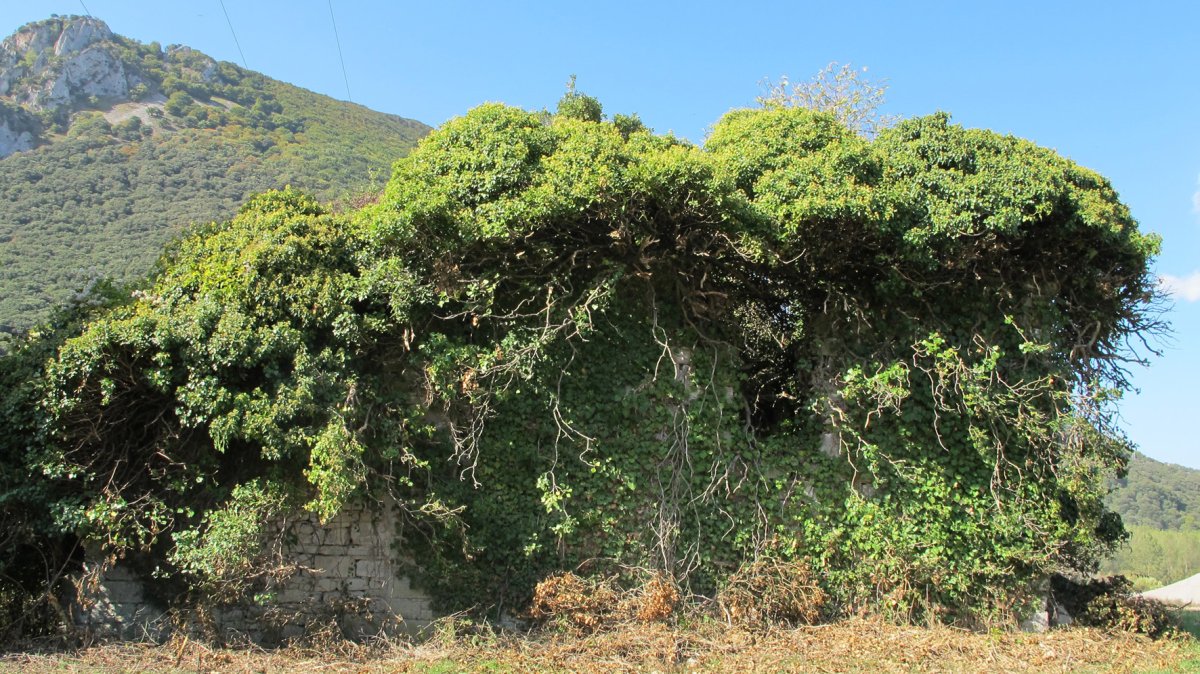 Asuncion ermitaren hondakinak, Errotz-Arakil