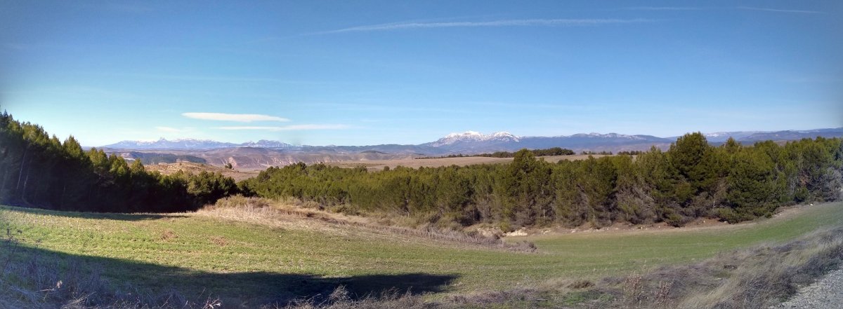 Basoak eta soroak, gainaldean tartekatzen