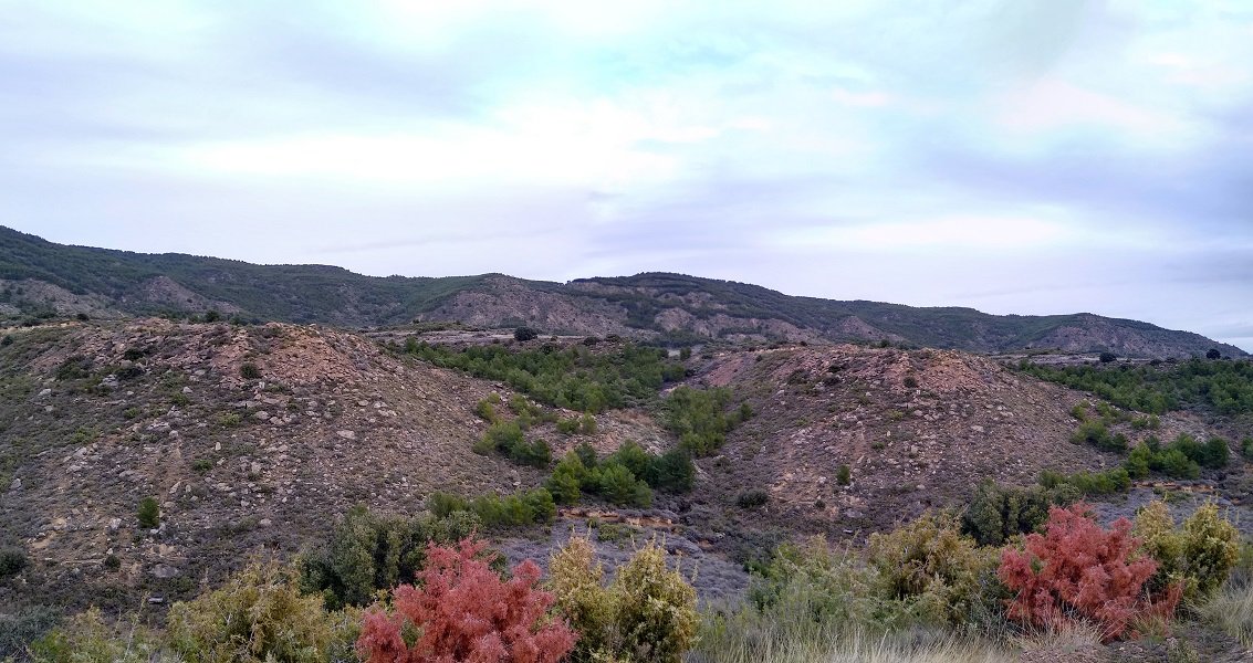 Uxueko gainak bidetik