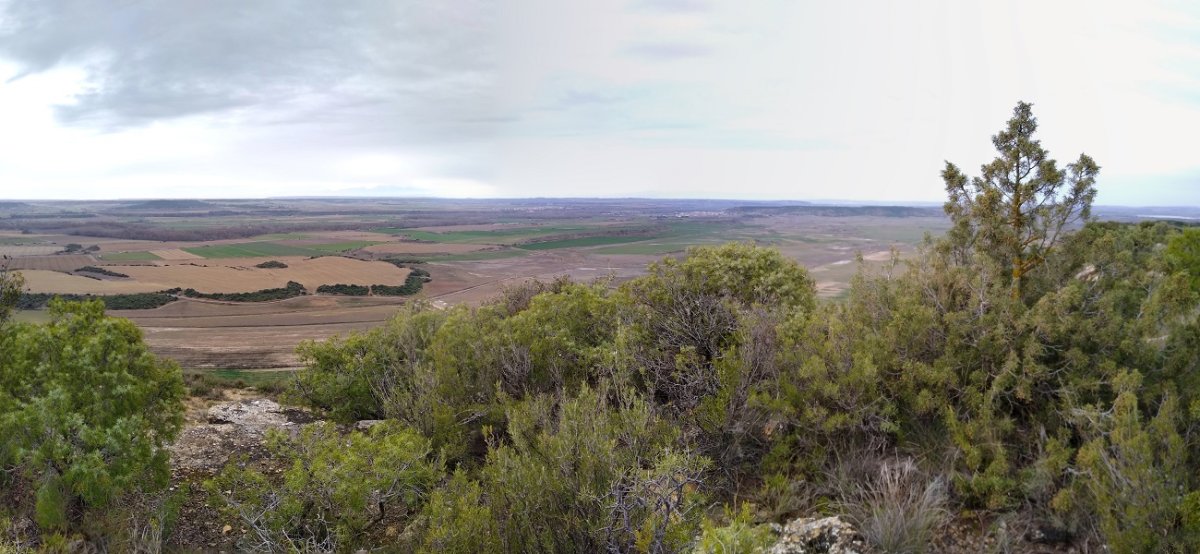 Peña del Aguilako gailurra