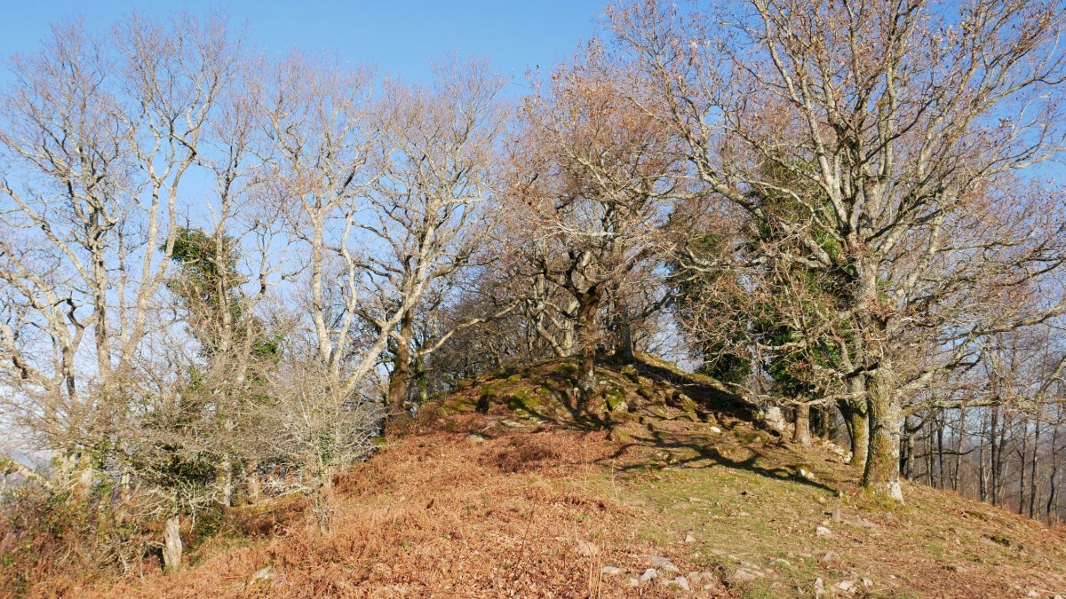 Tontorraren inguruak