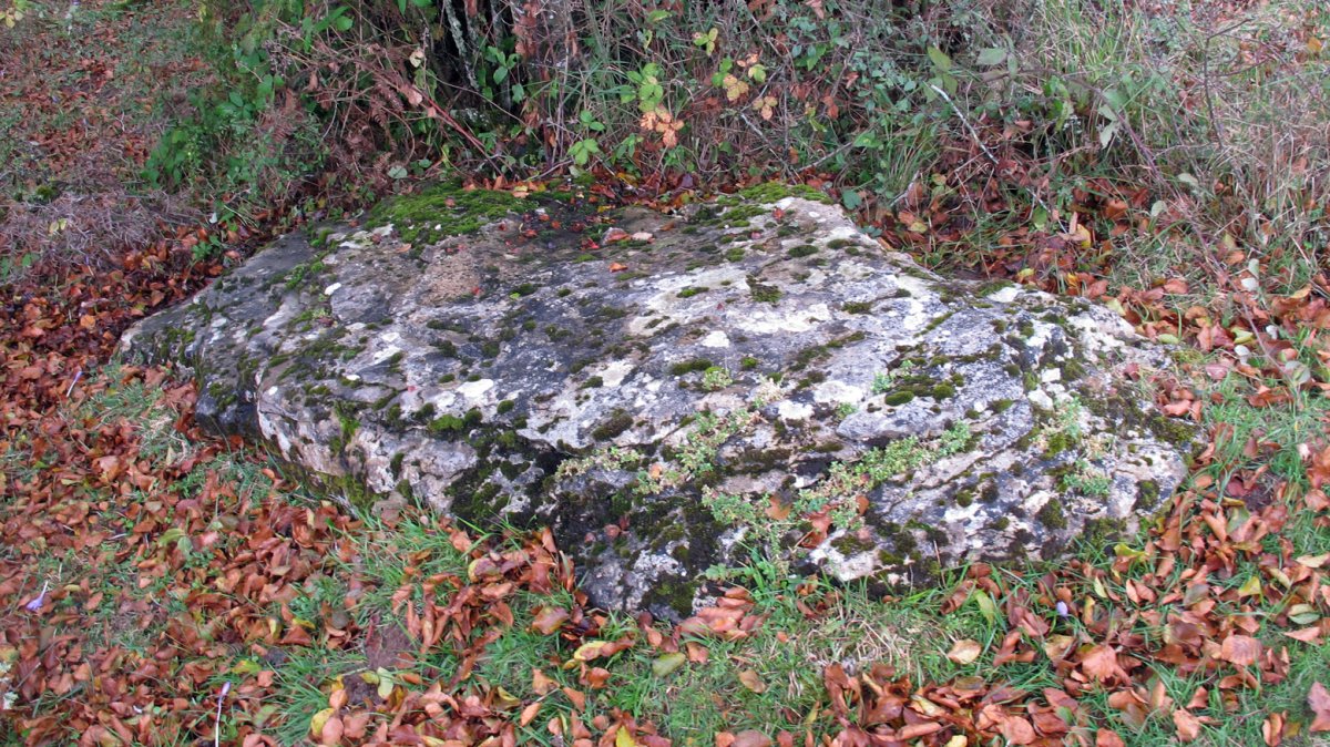 Uraska II zutarria, Entzia