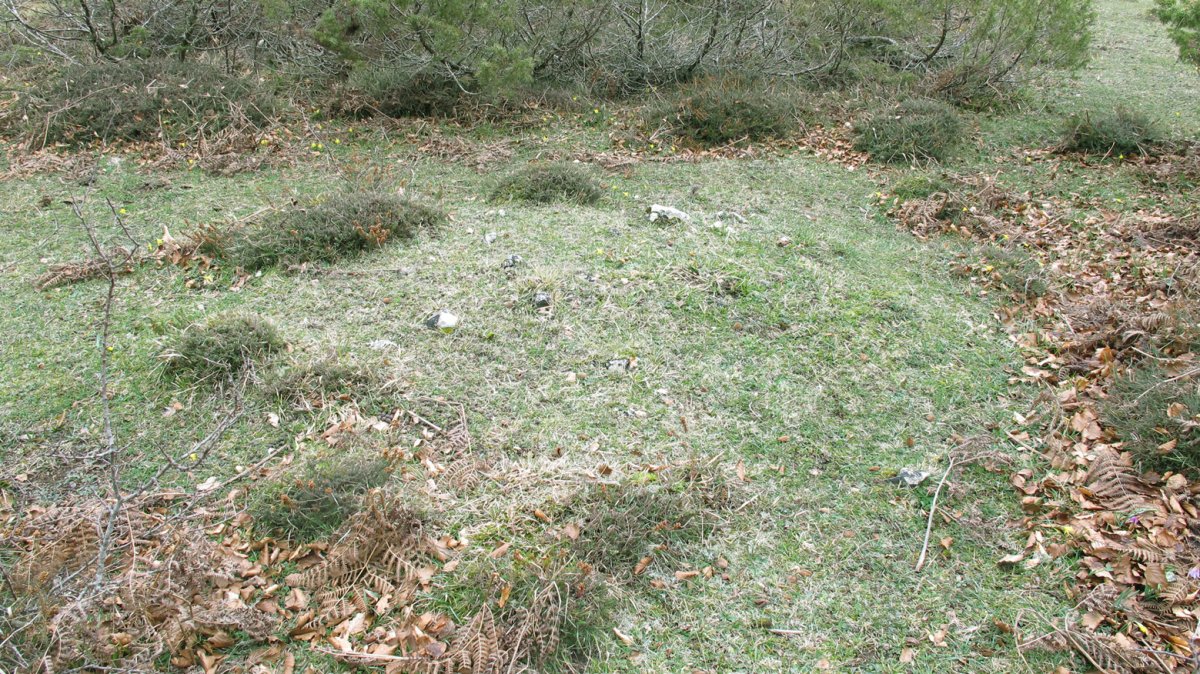 Larrazabal IX tumulua, Entzia