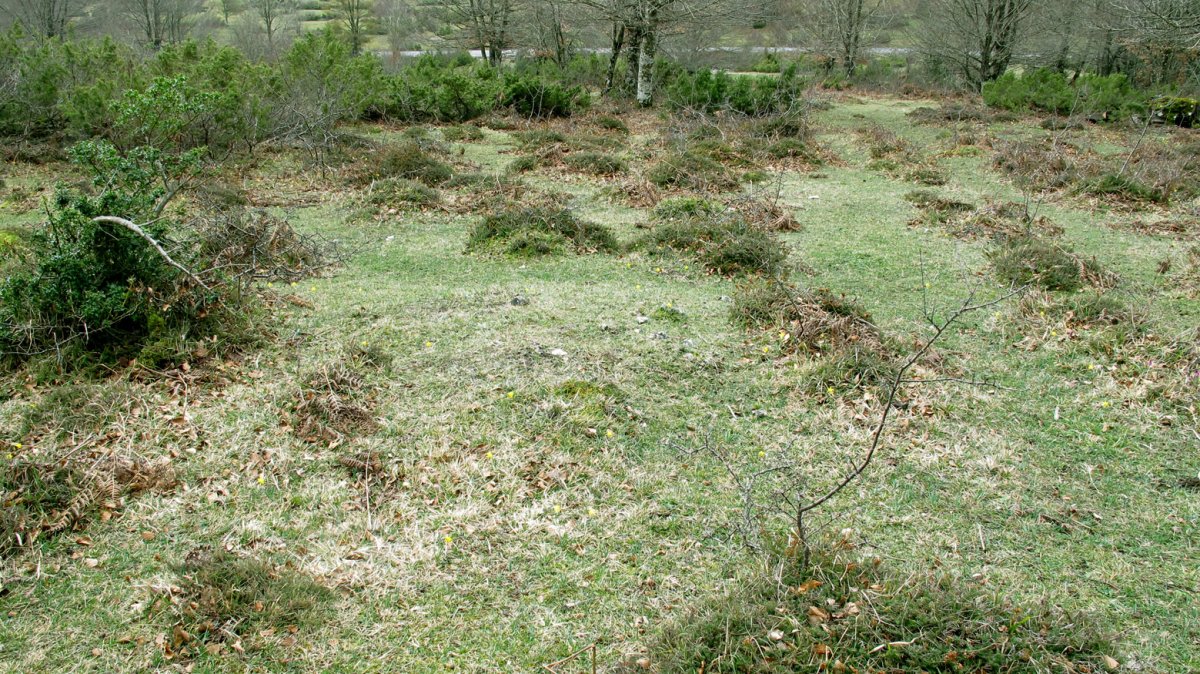 Larrazabal XIII tumulua, Entzia