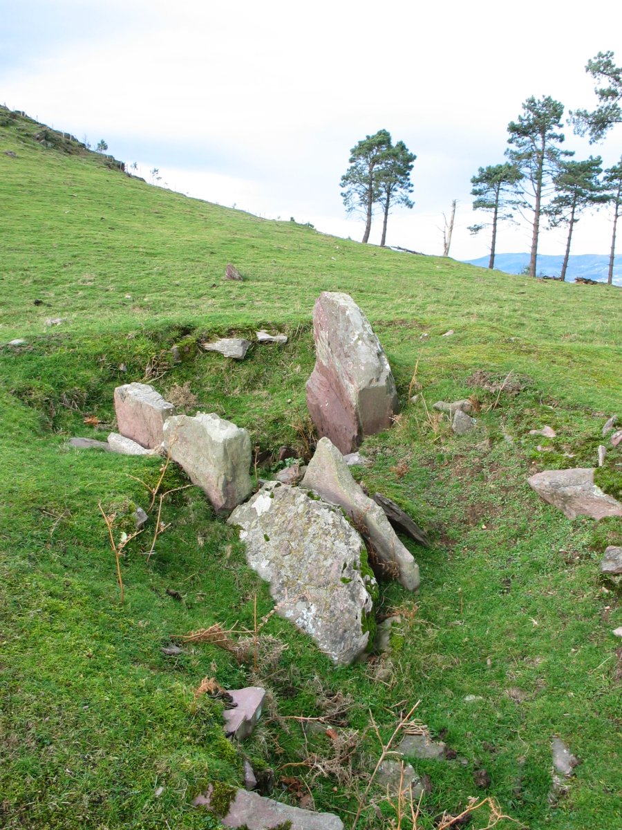 Bisasarobeko lepoko trikuharria