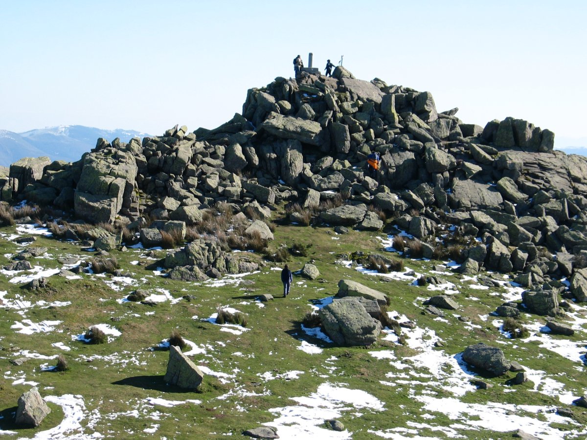 Tontorra pareko gainetik