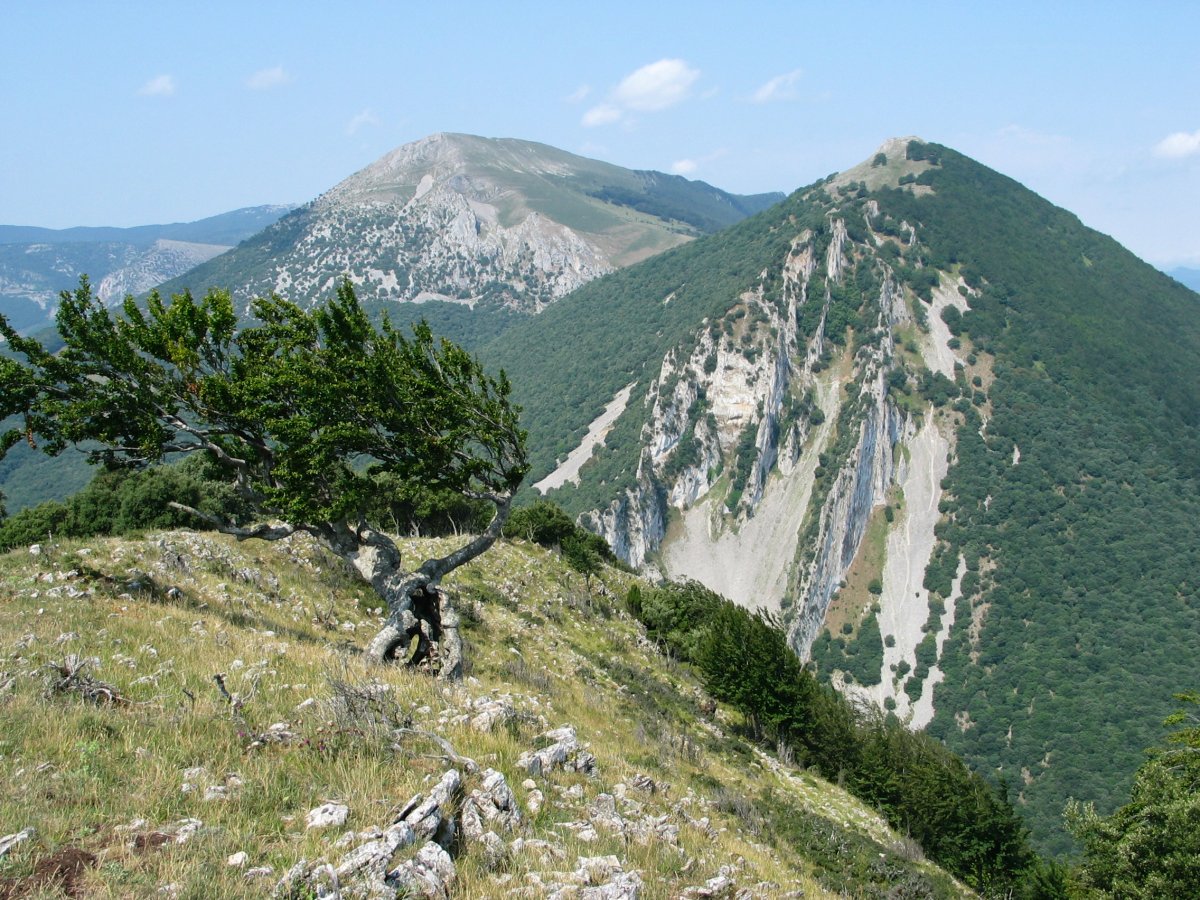 Mendebaldeko ikuspegia, Gaztelu eta Txurregi hondoan