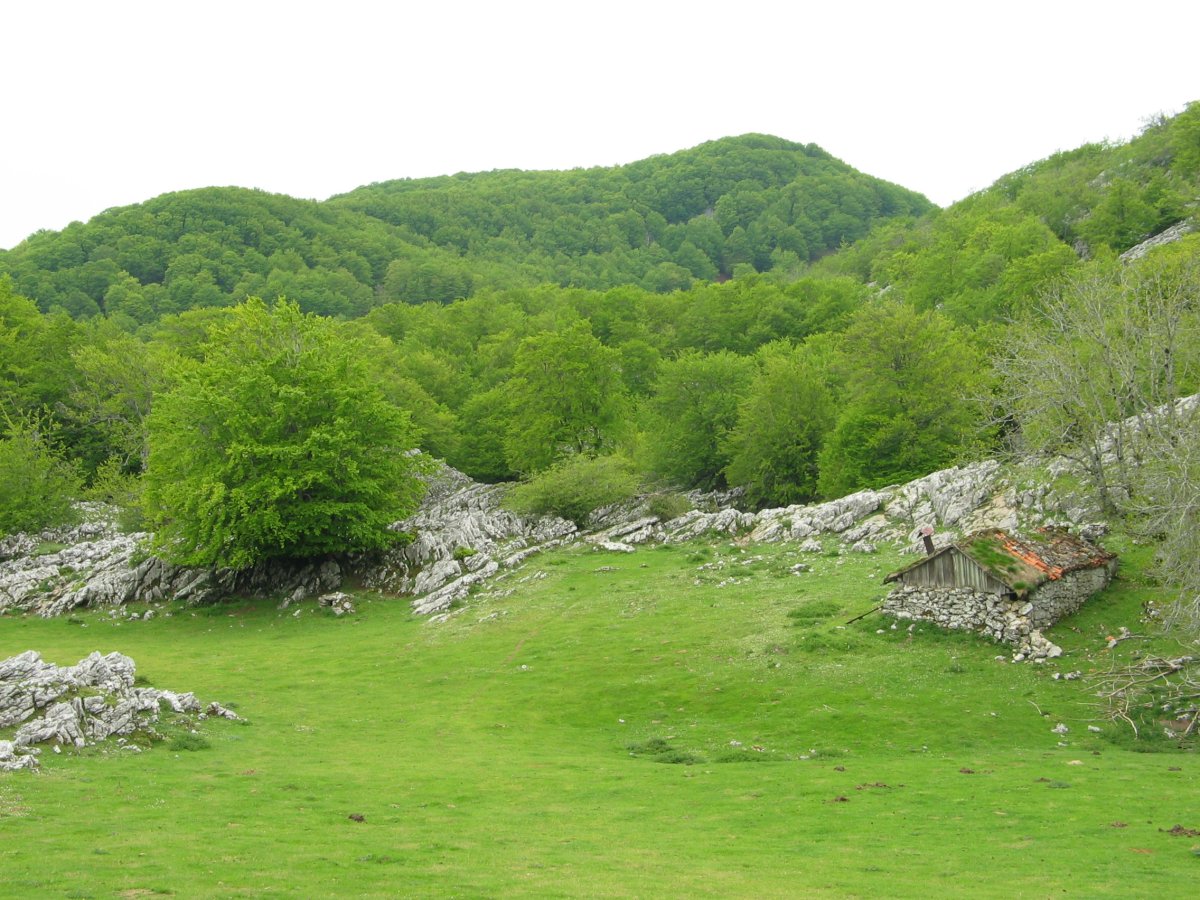 Ekialdeko isurialdea, Txemiñeren magaletik