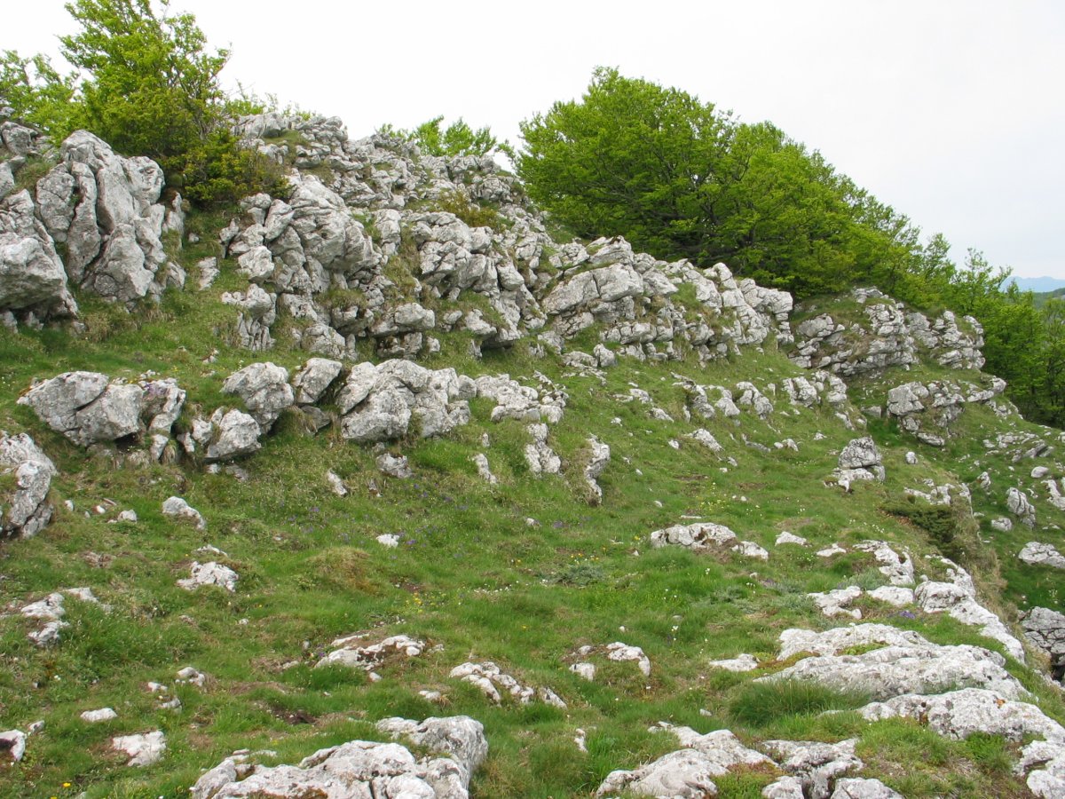 Tontorraren inguruak