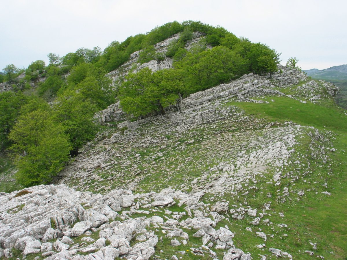 Ekialdeko bizkarretik