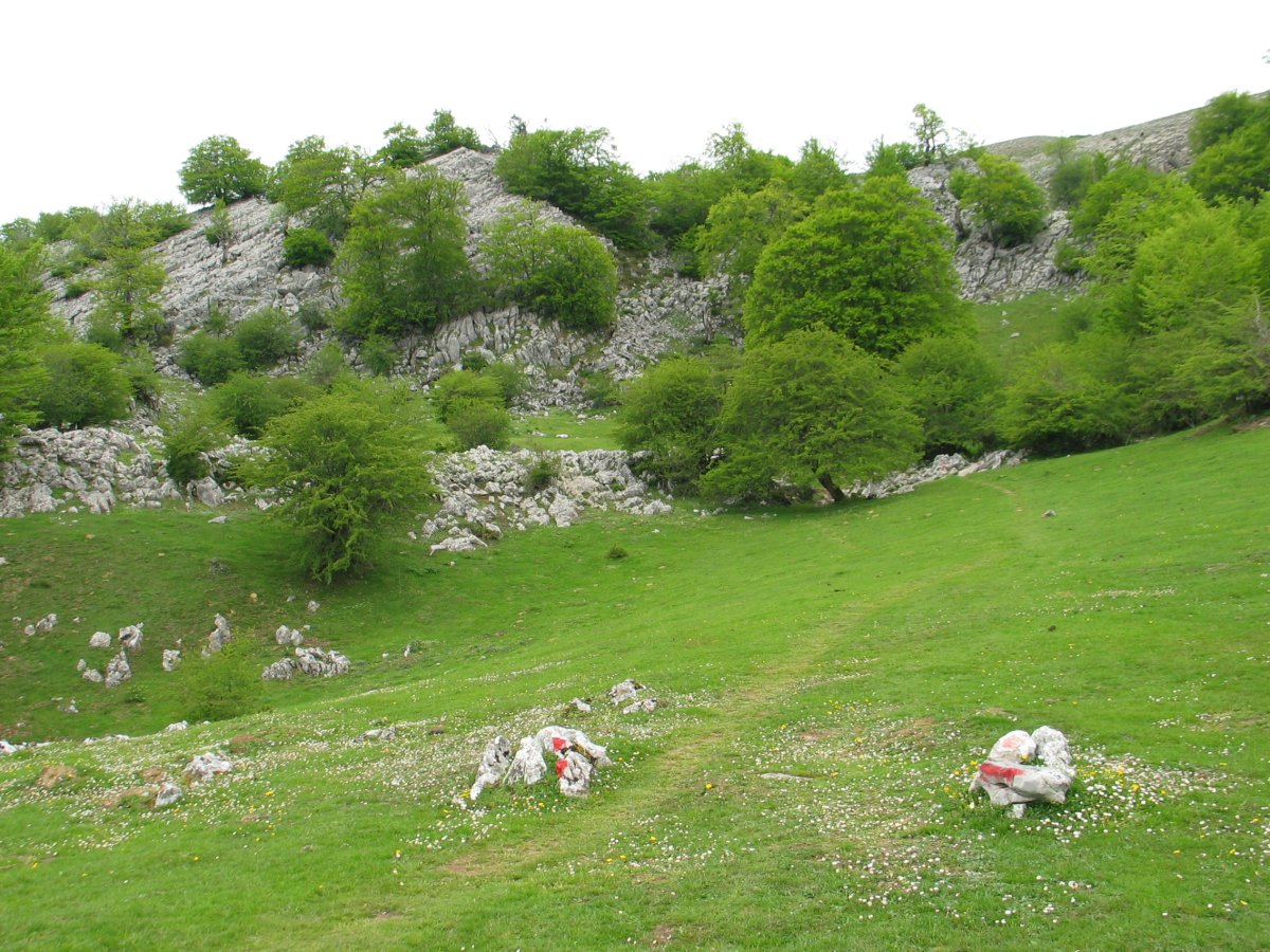 Marka zurigorriak Guardetxeko bidea