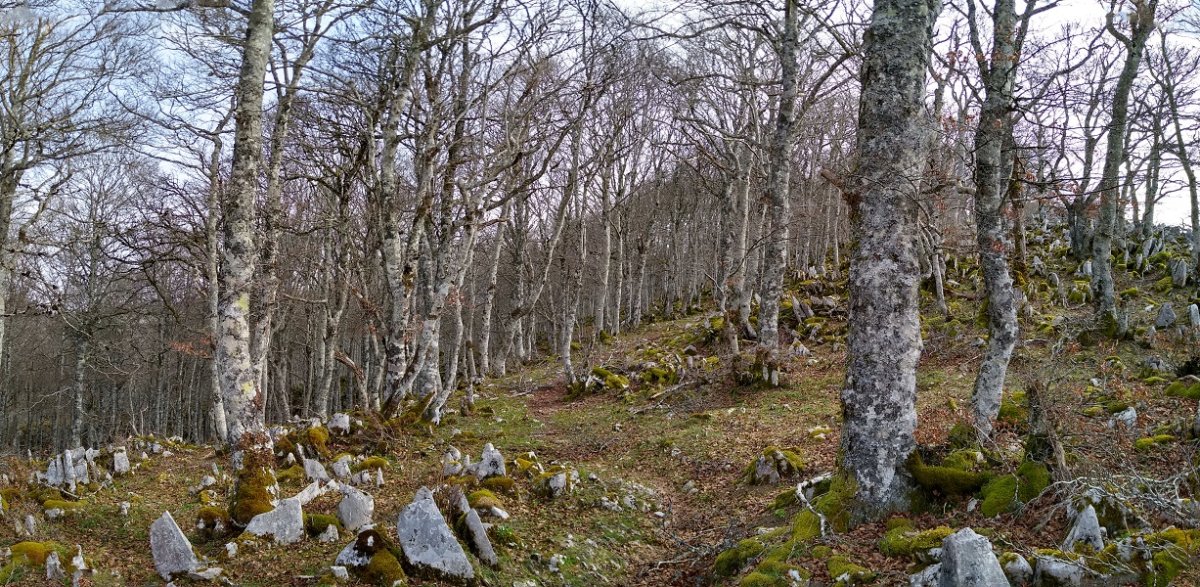 Bidea gainaldean barrena