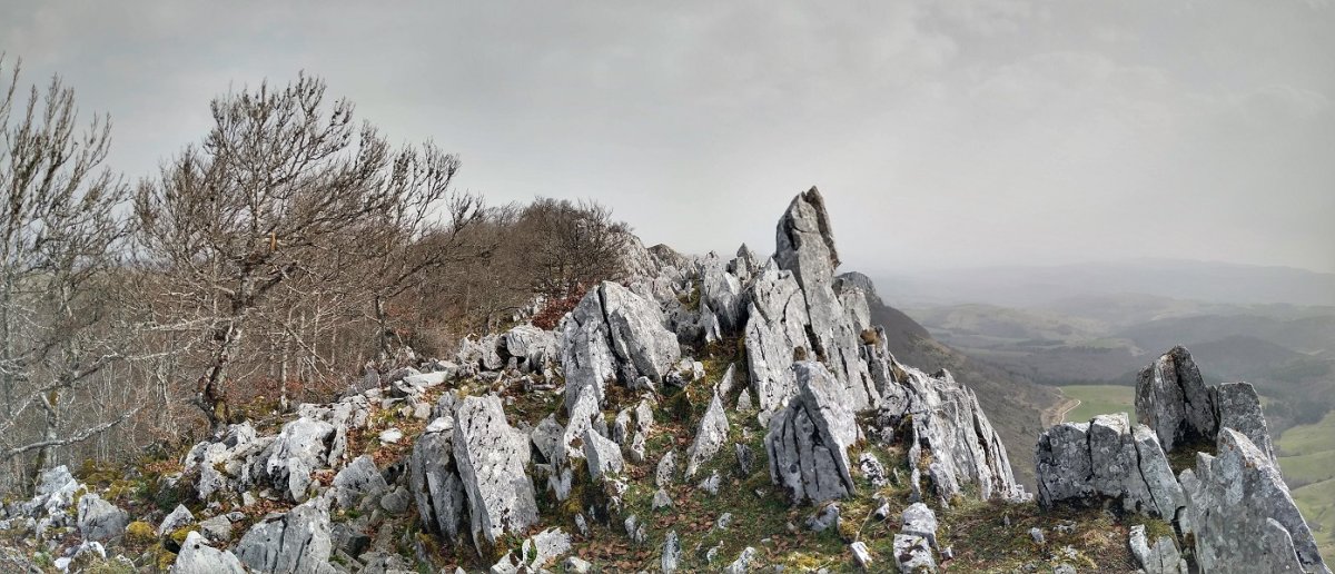 Martxateko gandor ederrak