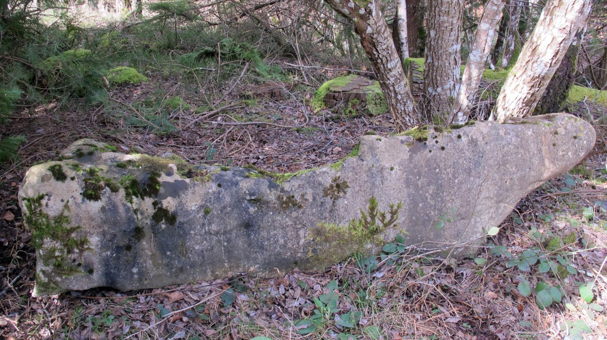 Peña Caída zutarria, Entzia