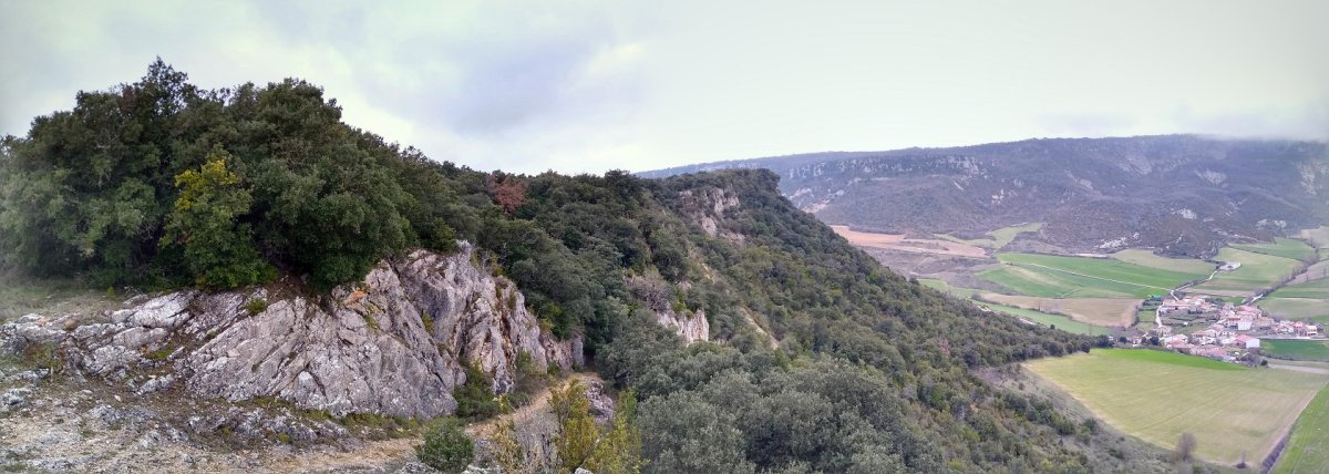 Ulibartiako harratea