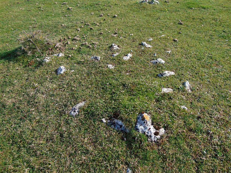 Lagaire Norte Eremu Tumularra