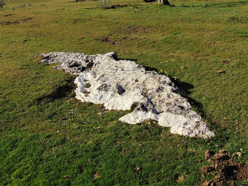 Legaire 3 Bidea Zutarria