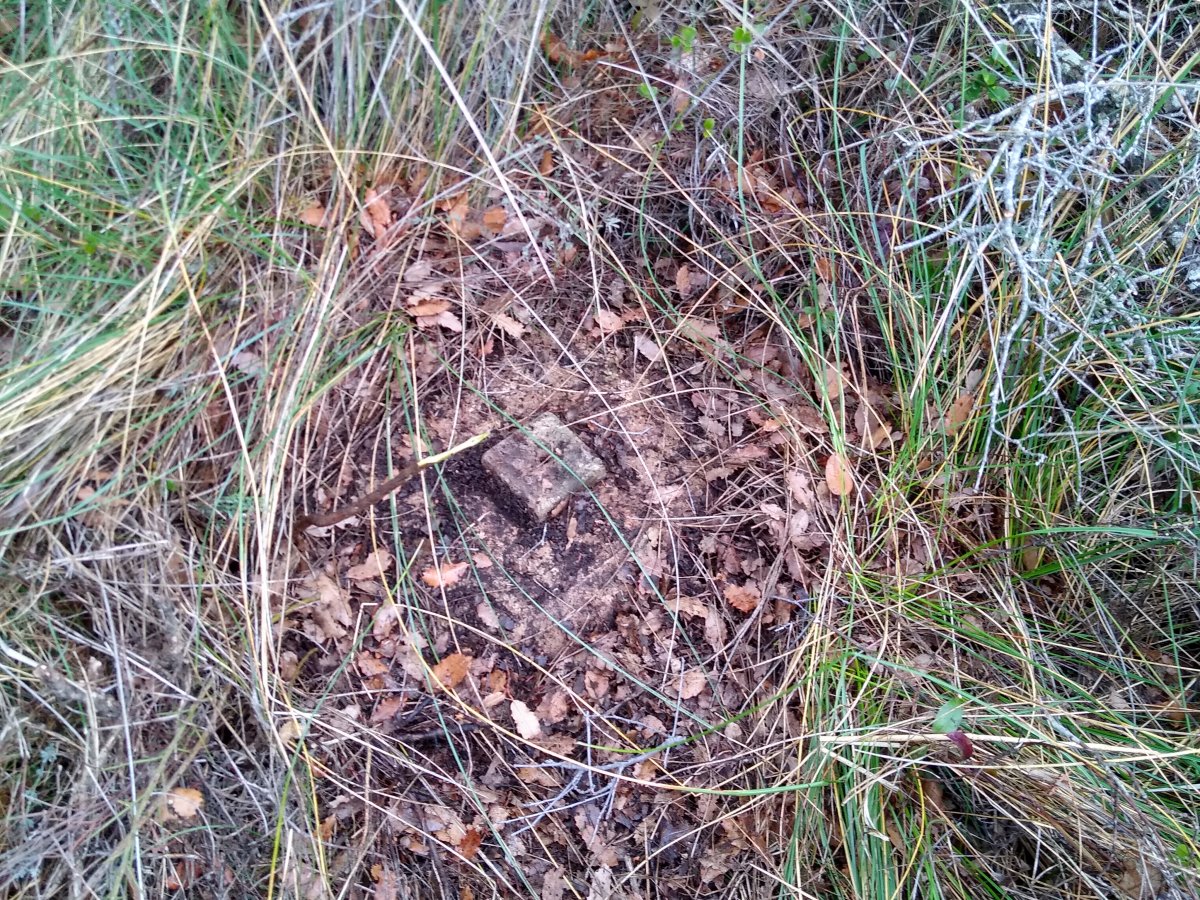 Tako geodesikoa Beltranlarratzen