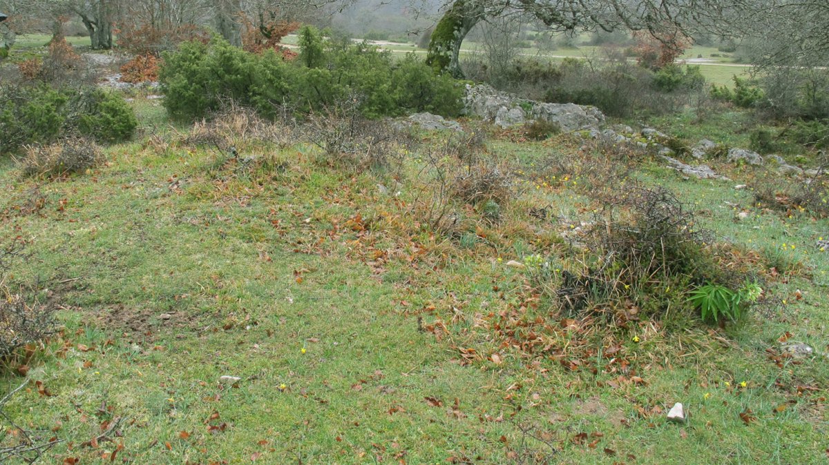 Itaida V tumulua, Entzia