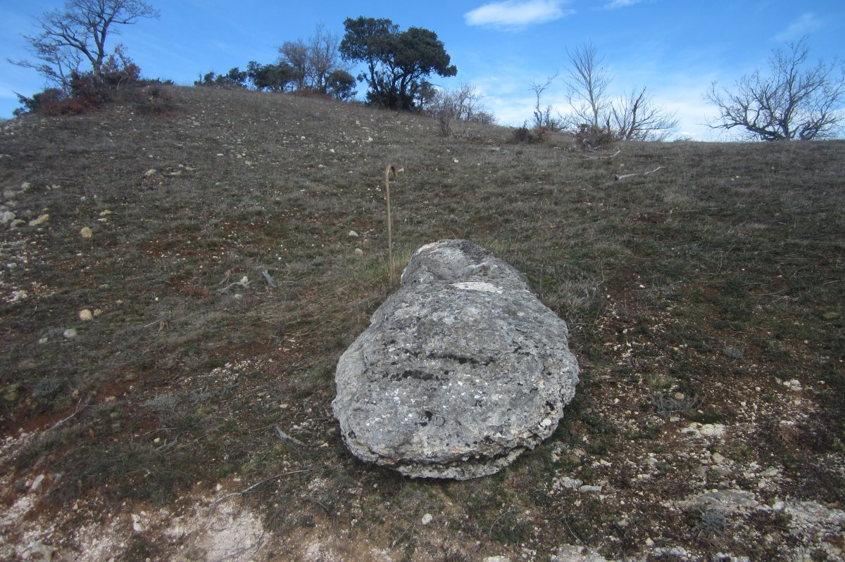 Monolito El Bardal  (Febrero 2020)