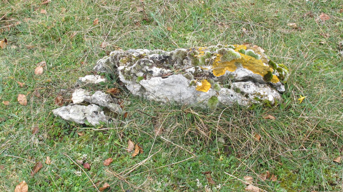 Alto del Mojon trikuharria, Ameskoako Limitazioak