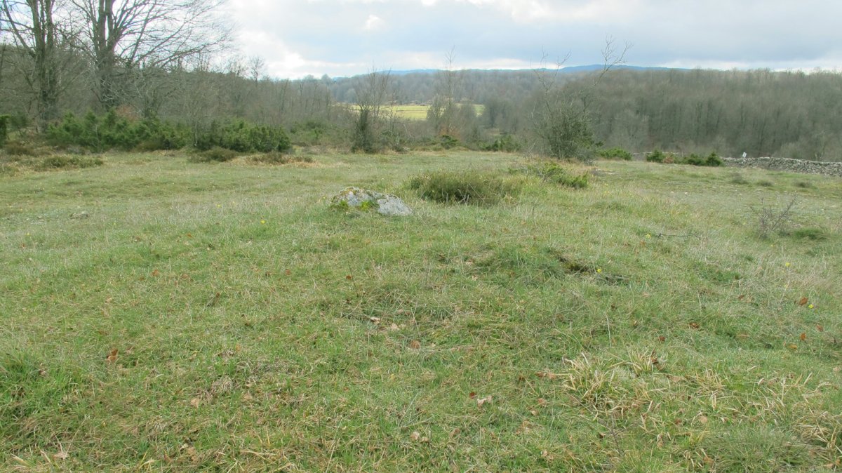 Alto del Mojon trikuharria, Ameskoako Limitazioak