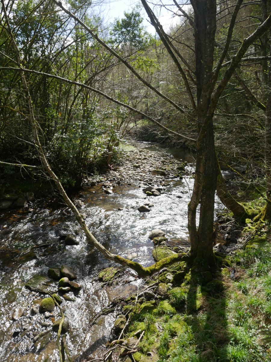 Agauntza erreka Ergoiena aldean