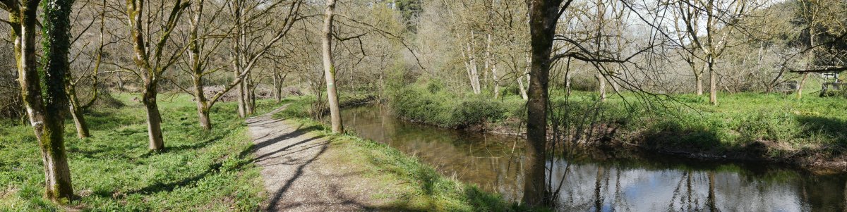 Ergoiena eta San Gregorio arteko bidea