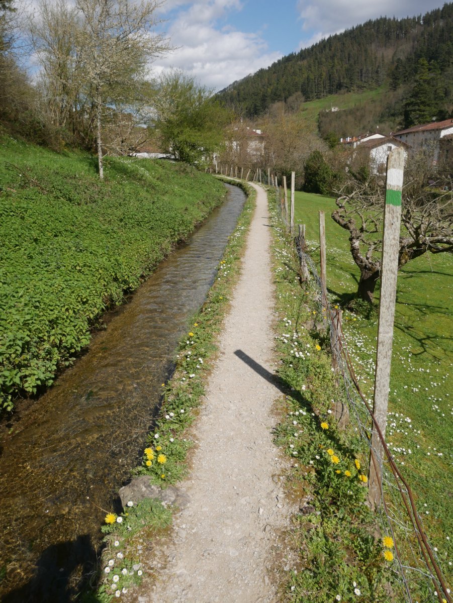 Ubidea bide bazterrean