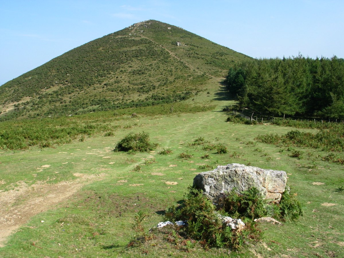 Ezkondrai Amezketako lepotik