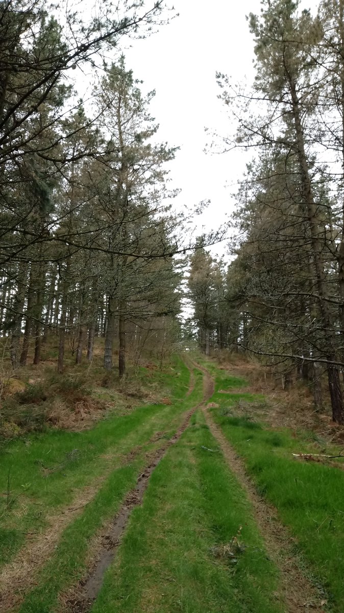 Kanueta (621m) azken malda.