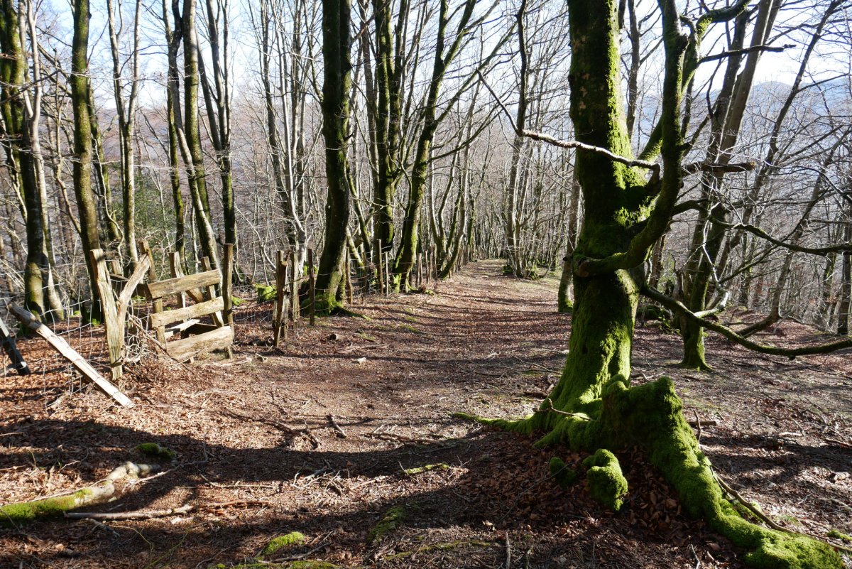 Mugarrietatik behera