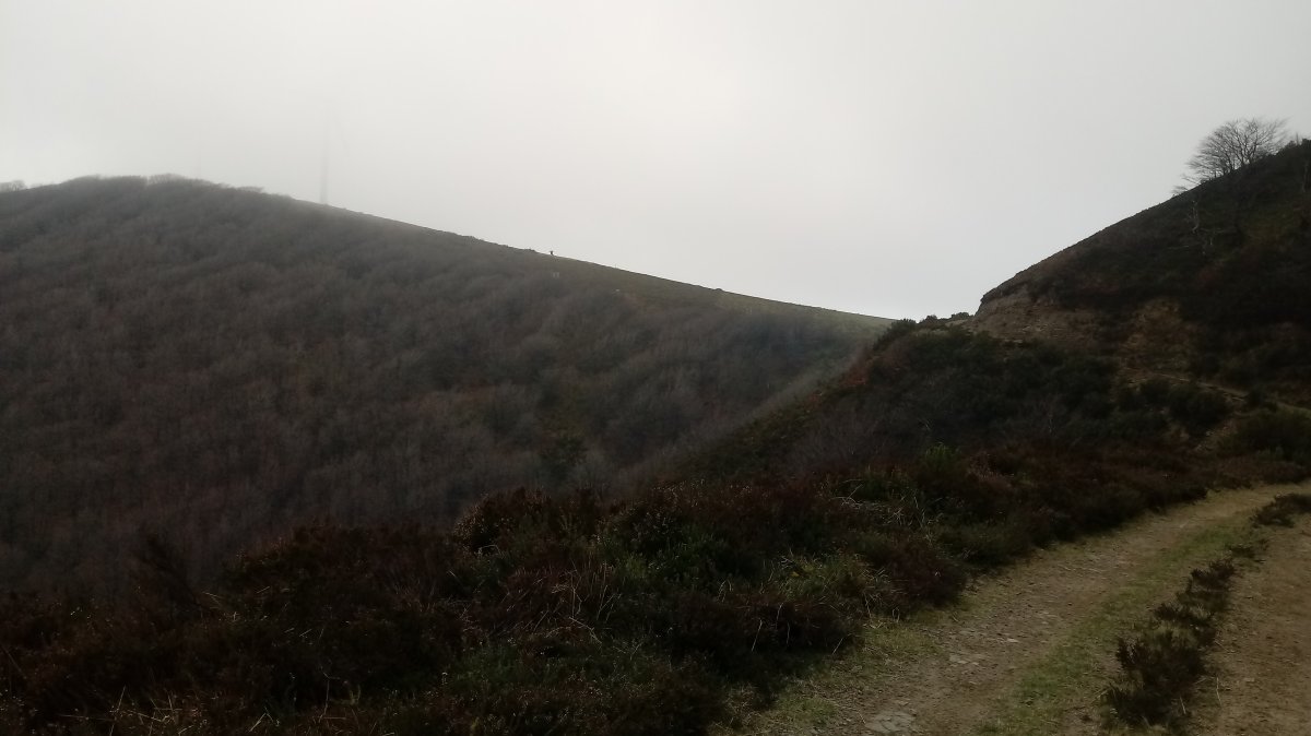 Mirubizkar (1048m) aterpe aldeko lepotik