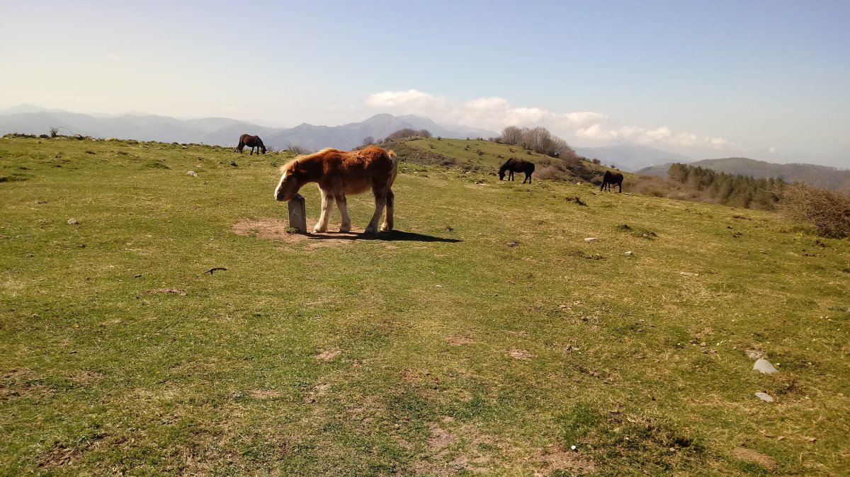 Lagarte (811m) tontorra