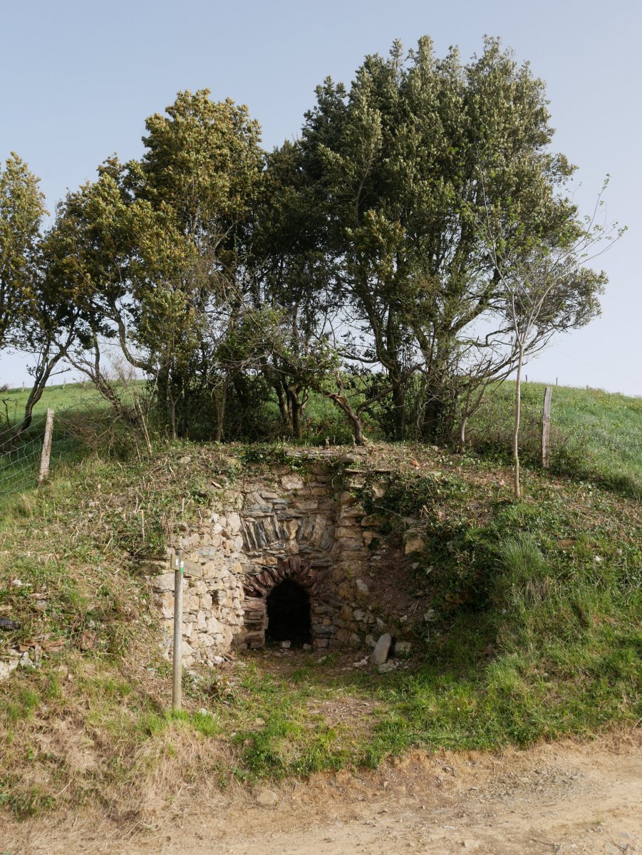 Zumitzaberri karobia