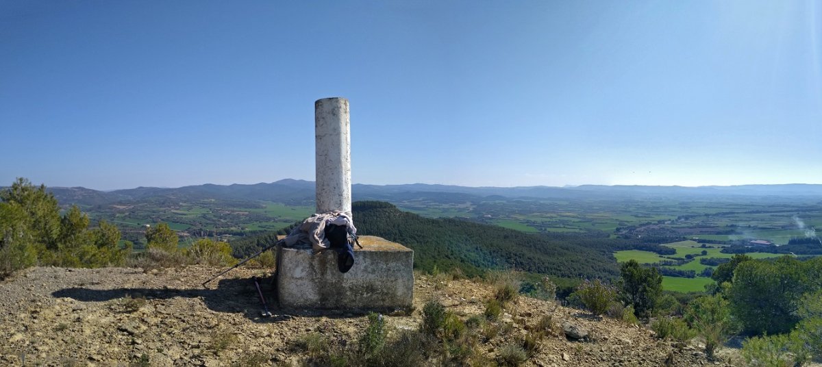 Kanelutxeko gailiurra