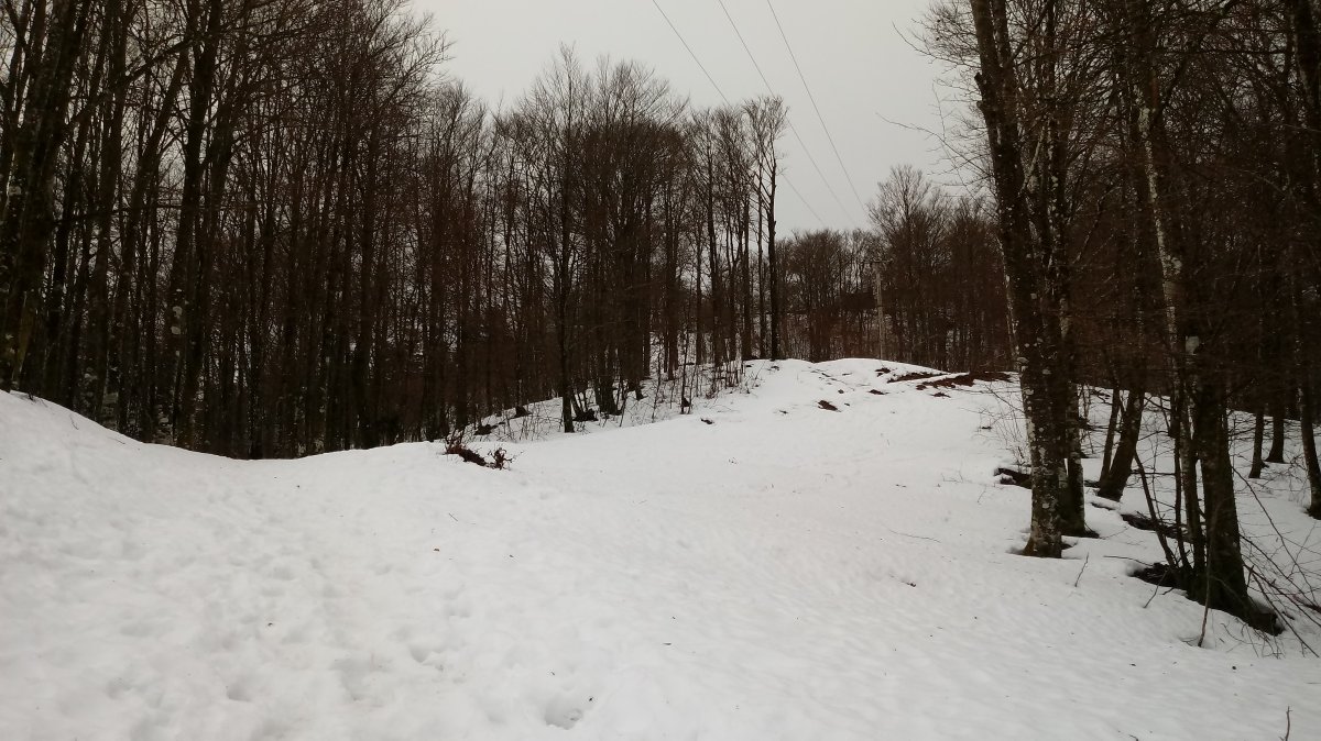 Gorostiaga (950m) igoera bidean