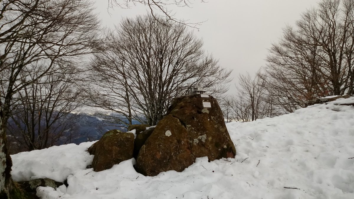 Gorostiaga (950m) tontorreko postontzia