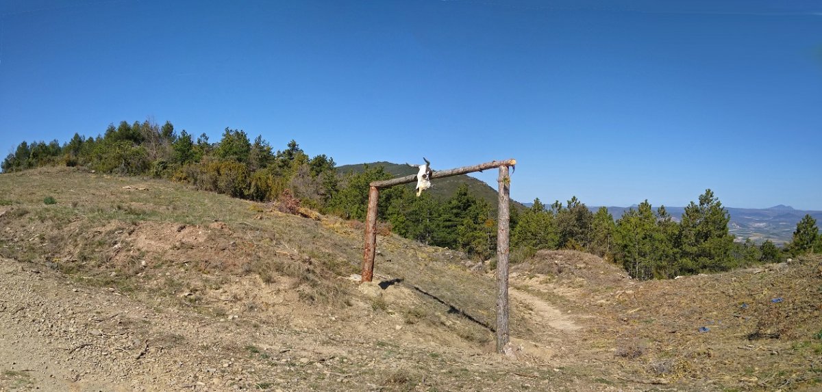 Atari bitxia mendebaldeko lepoan