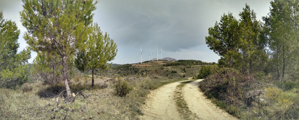 Alto del Monteko gailurra