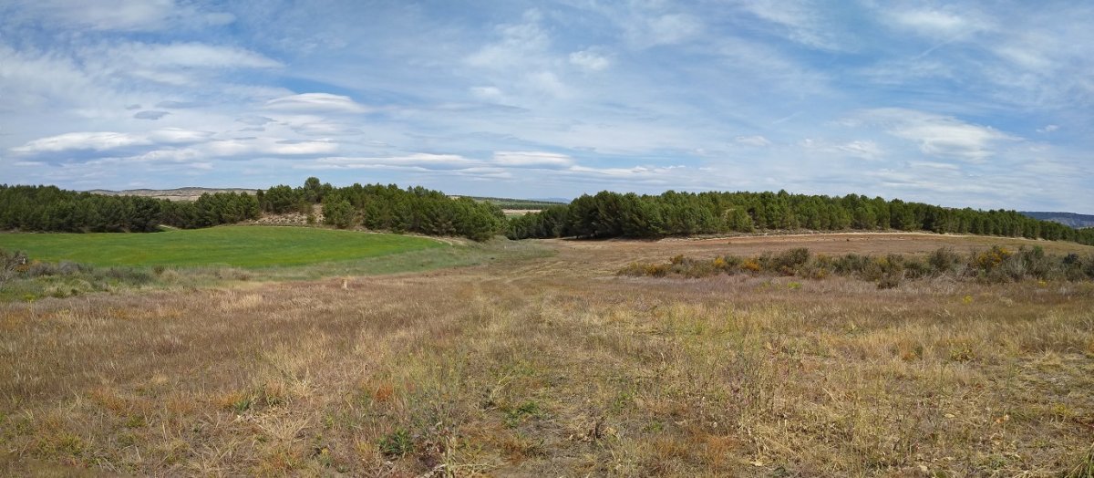 Abelbidea, Sierra Grandera hurbiltzeko modu polita