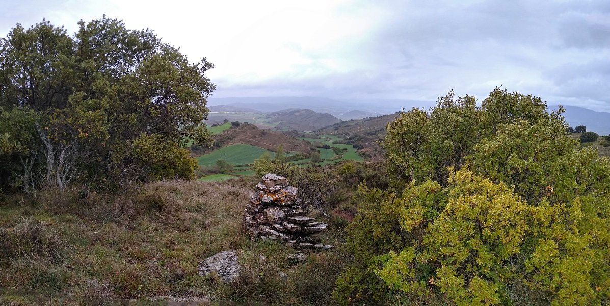 Frajinetako gailurra