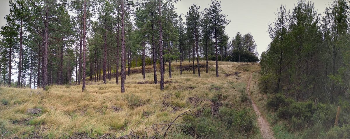 PInillasko gainaldea