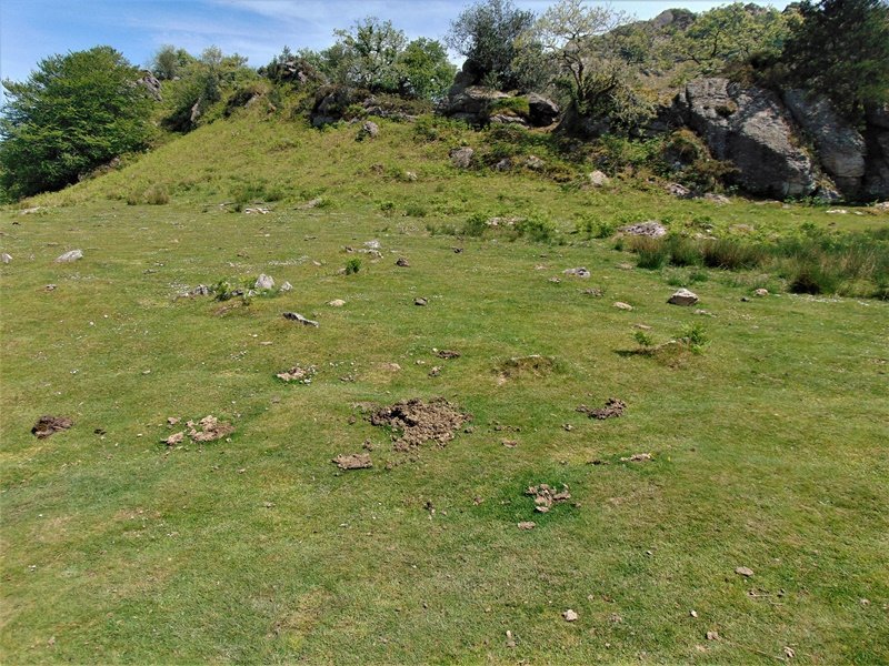 Arleorko Zabala Mairubaratzak