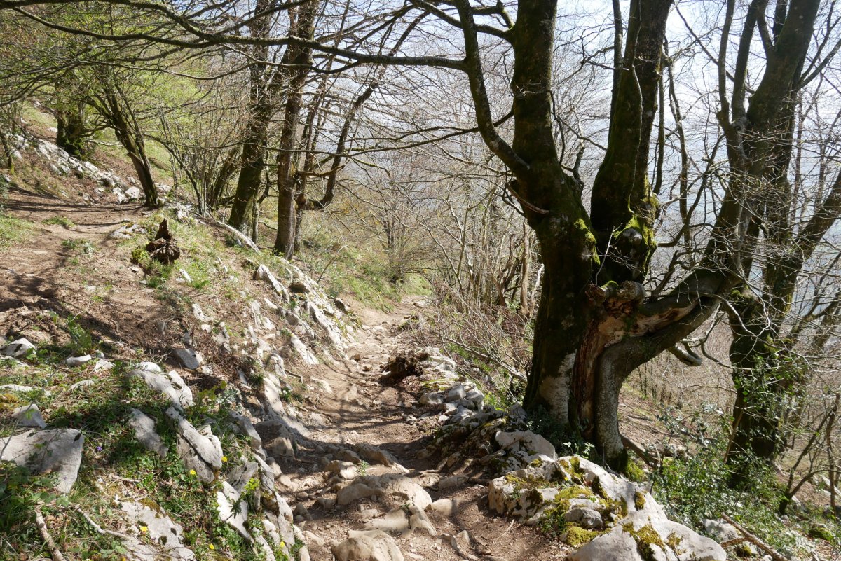 Igoera Hernialde aldetik