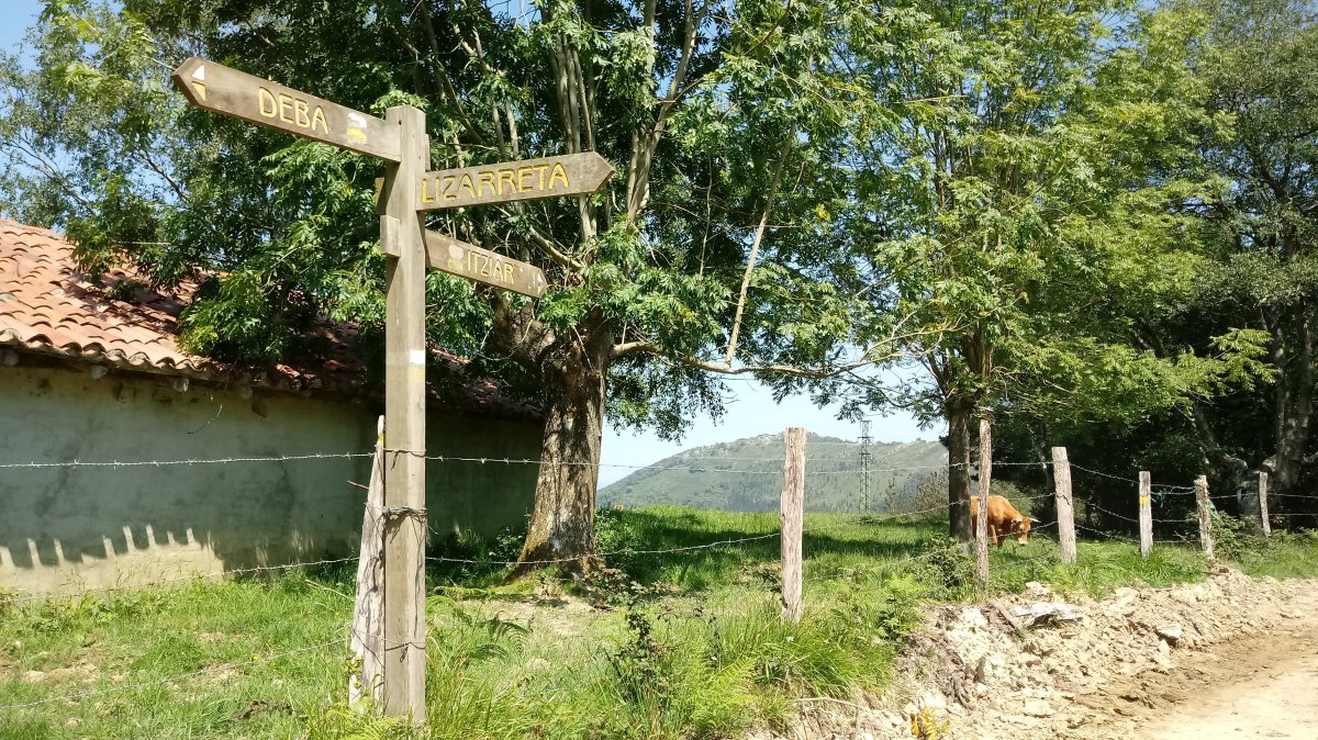 Lizarreta (537m) bidegurutze lepoa