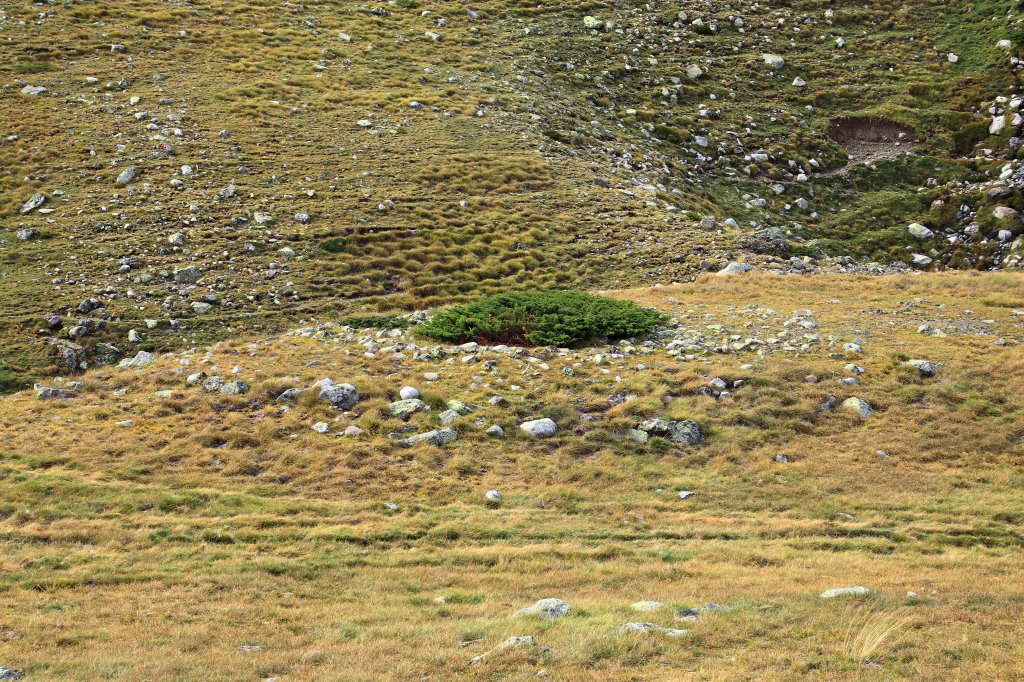 Barranco de Espelunz 5