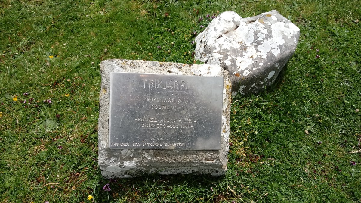 Trikuarri trikuharriaren plaka (2021)